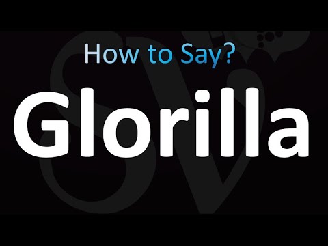 How to Pronounce Glorilla (Correctly!)