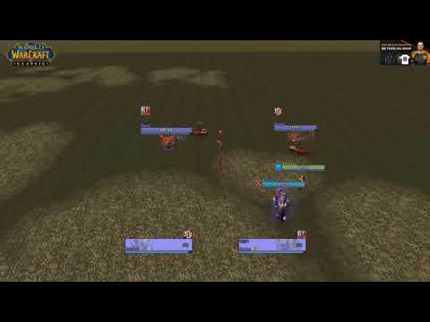 SNUTZ vs. NAZGUL - CDL Finals for $20,000!!! (Warlock vs. Warlock Duels WoW: Classic PvP)