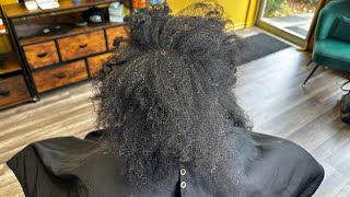 Split ends and frizzing made her hair look damaged| Gray hair low porosity split end and frizz care