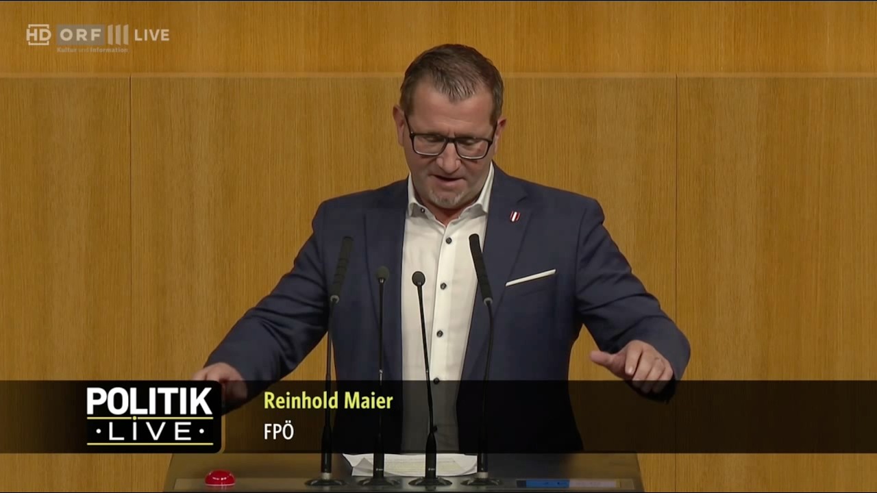 Reinhold Maier - Abschiebung illegaler Migranten nach Afghanistan und Syrien - 23.9.2026