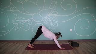April 22, 2022 - Monique Idzenga - Hatha Yoga (Level II)
