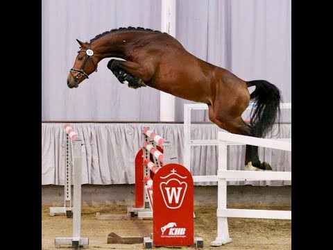 2 j. Wallach v. Cordess-Concorde-Nimmerdor