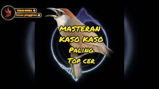 Download lagu Masteran  kaso kaso terapi burung macet bunyi mp3