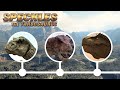 Speckles The Tarbosaurus The Complete Timeline