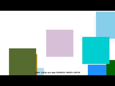 Video #sftp-gcs-pkg-20190323-180251-110728