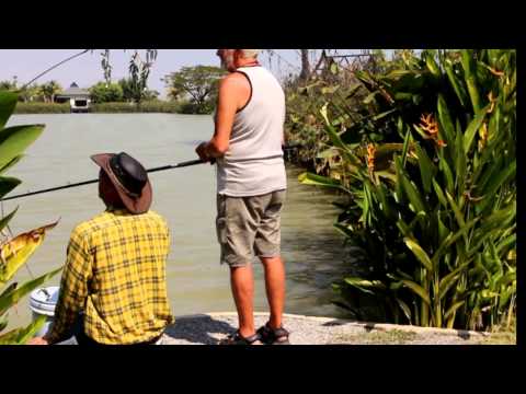 Martin Bowler fisker siamesisk karpe, rødhalet malle og arapaima i Thailand