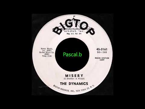 The Dynamics - Misery