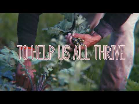 Hayes Carll - We're Only Human (Lyric Video)