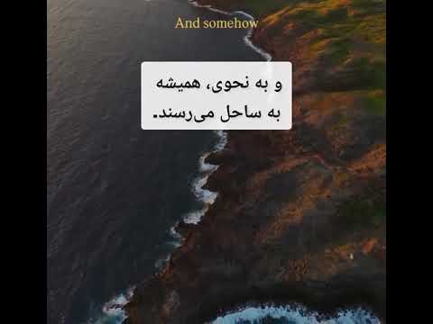 #turtletime #Turtle Theory of Life👈👈👌👌