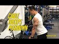 Body Composition Guide | Cable Triceps Pushdown 肱三頭肌訓練 | #AskKenneth