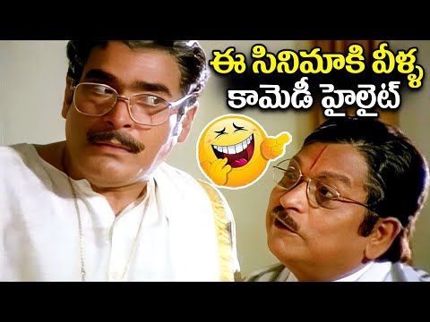 ఈ సినిమాకి వీళ్ళ కామెడీ హైలైట్ Rao Gopal Rao VS Allu Ramalingaiah Funny Comedy Scenes