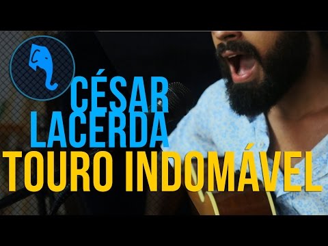 César Lacerda - Touro indomavél | ELEFANTE SESSIONS
