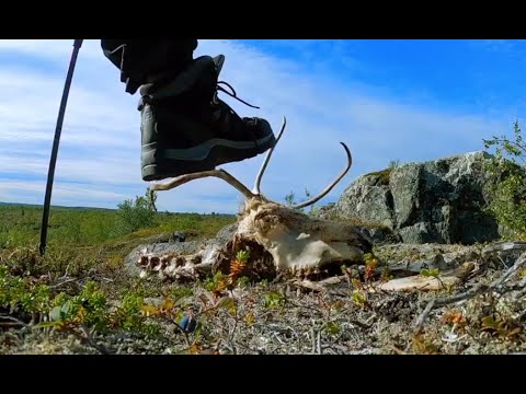 4 Days In Kaldoaivi Wilderness