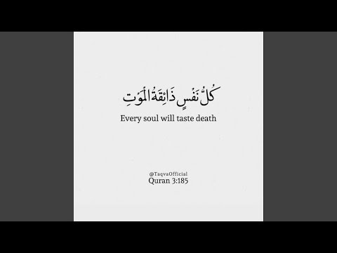 MAGIC DREAMS By babymar