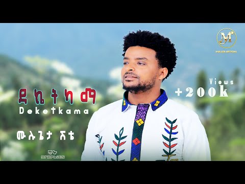 Mulugeta Shitie - ሙሉጌታ ሽቴ - ነሽ የበላይ New Ethiopian Music 2015