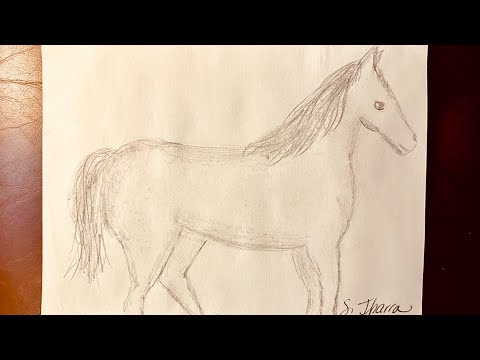 , title : '¡😘Cómo dibujar un caballo con luces y sombras!🐎'