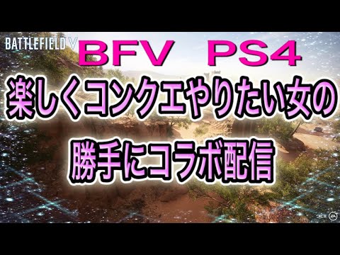 BFV チンパンVS猿