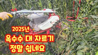 옥수수대 자르기 보행관리리용 예취기 일진농기계 옥수수 수확후 대 자르는 자동 기계 괴산군 농기계 임대 사업소…