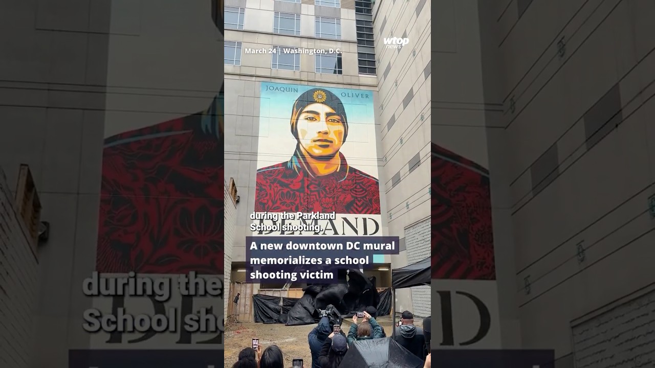 A new mural in downtown DC memorializes a school shooting victim