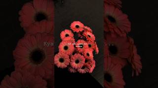 Download lagu Ride it X Kya yehi pyaar hai 🥰✨️ || Aestheticstatus || lyricsvideo #aestheic #trending #shorts mp3