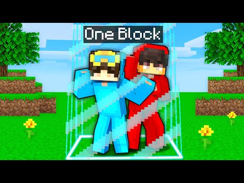 Insane Challenge: Trapped in One Block in Minecraft