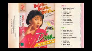 Download lagu Dina Mariana - Boleh...Boleh....Boleh...  Composer - Timur Priyono (1993)  mp3