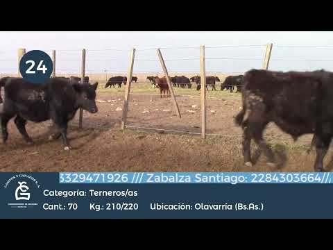 Lote M y H - Olavarria Bs As