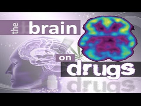 The Brain on Drugs Part 2