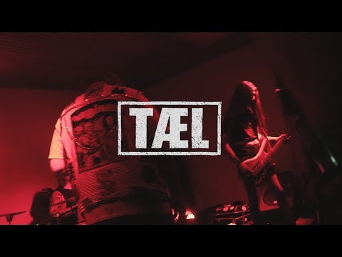 TÆL - Blodsbånd live @ Norðanpaunk 2024