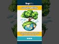 sustainability - using resources in a way that... video thumbnail