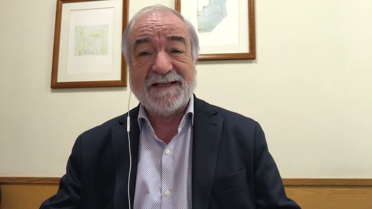 O ponto da situação 22/11/2024