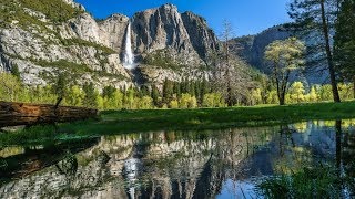 The Lord Is My Shepherd