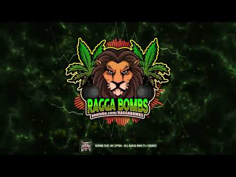 Serum feat. MC $pyda - All Ganja Man (T˃I Remix)