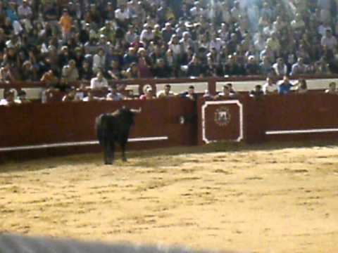 AREVALO. DOMINGO 10 DE JULIO DE 2011 (3)