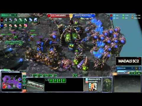 Demuslim v Fitzy  TvZ