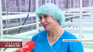 Сегодня в Орловской области открыли новое предприятие