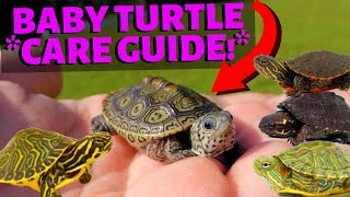 How To Care For A Baby Turtle - (Most Species!)