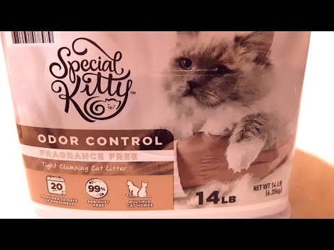 Special Kitty Clumping Cat Litter Fragrance Free - Walmart Brand - Unboxing
