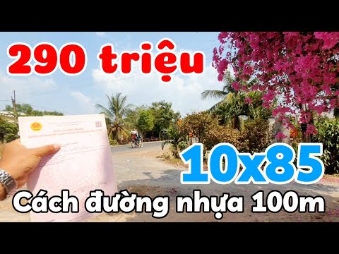 Đất 10x85 giá rẻ 290 triệu sổ hồng riêng có thổ cư cách đường nhựa 100m ở xã Hảo Đước Tây Ninh