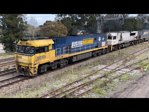 Pacific National NR105, LDP007 & NR7 with 4BS6, Maitland - 18/8/22