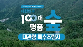 [#100대명품숲] 독특한 산림 경관을 엿볼 수 있는 #대관령_특수조림지