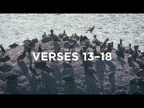 The Book of James with Francis Chan | Bible Study Session 2 | James 1:13–18 | RightNow Media