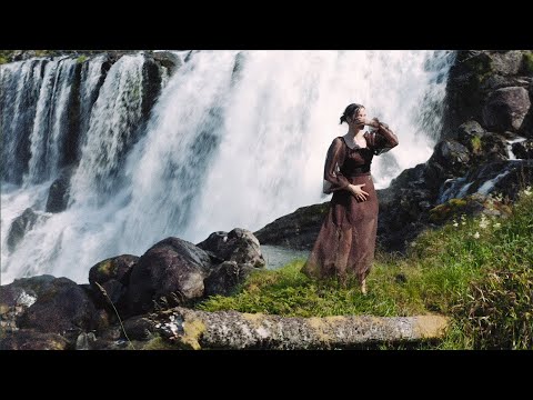 Lavender And Heaven - IRIS