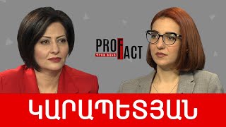 «Հայրենիքը պետությունն է» կամ պետություն՝ չձևակերպված շահերով. Աննա Կարապետյան /// ՊՐՈՖՖԱԿՏ
