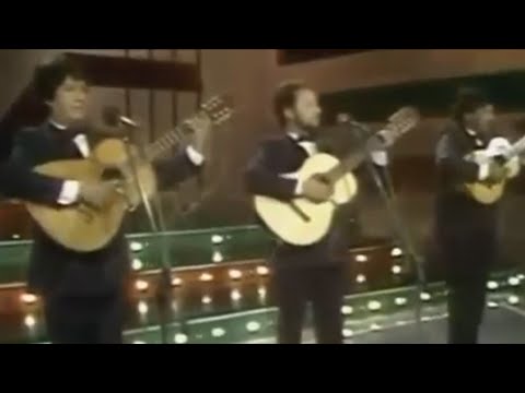 Noches de bocagrande Trio Martino