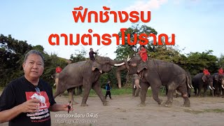 ep.30 ฝึกช้างรบ ตามตำราโบราณ : ลายทองเหรียญ มีพันธุ์ [รุ่นเก๋า...OUTDOOR]