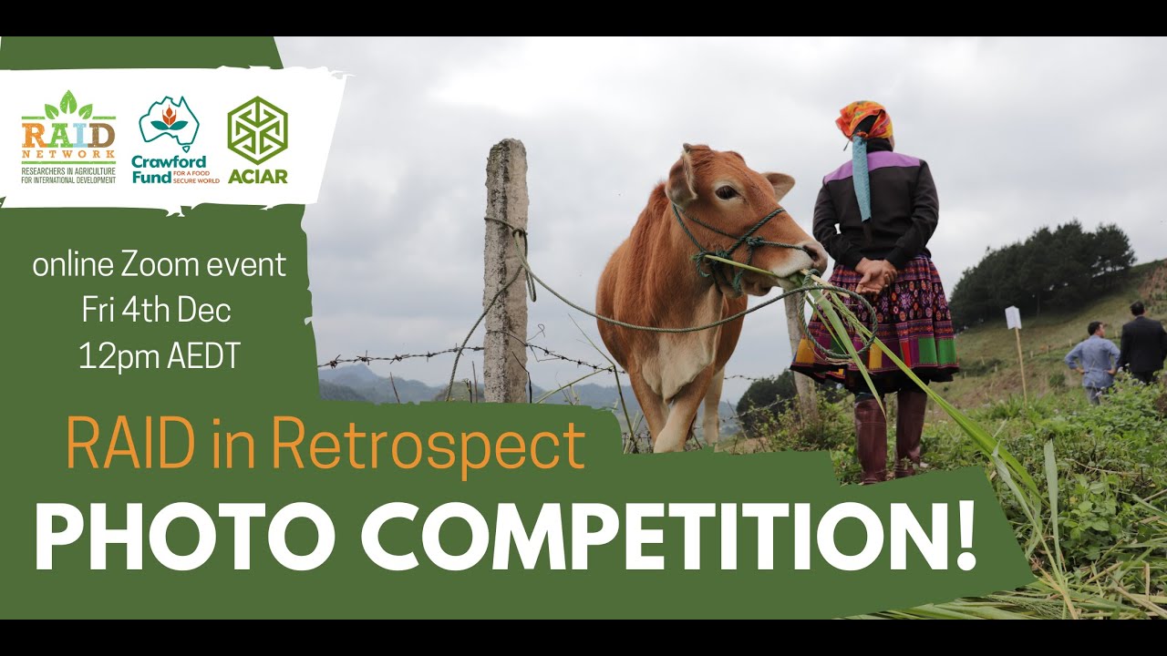 RAID in retrospect photo competition