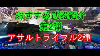 [ボーダーランズ4]おすすめサブ武器紹介アサルト2種