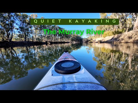 A quiet paddle on Australia's premier river. Floating in morning mist and silence.