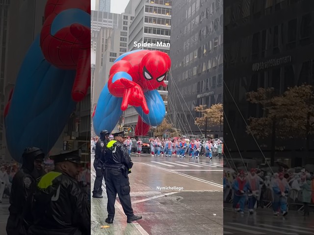 Vídeo relacionado con Decoración Cumpleaños Araña 4 Años, Globo 40 Pulgadas con Telaraña y Número 4 con Vela Cera Número 4 y Decoración Tartas Telaraña, Decoraciones de Fiestas de Niño Cumpleaños Araña Temáticas